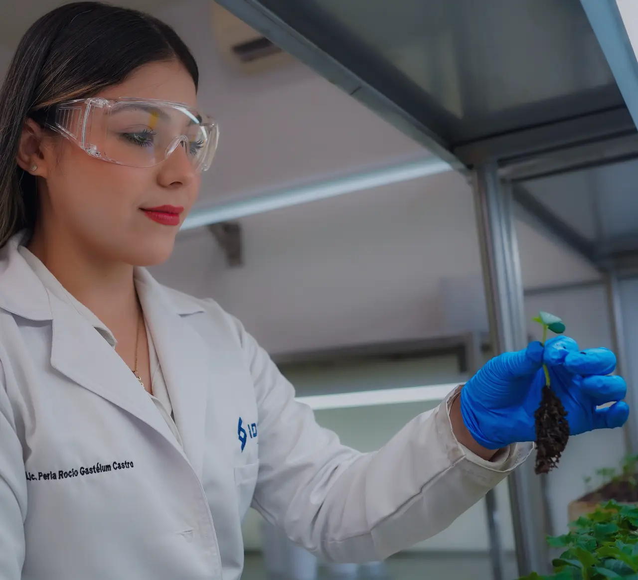 Diseño de productos