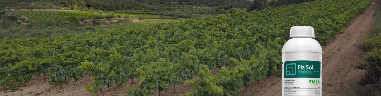 Aliados invisibles para un cultivo poderoso