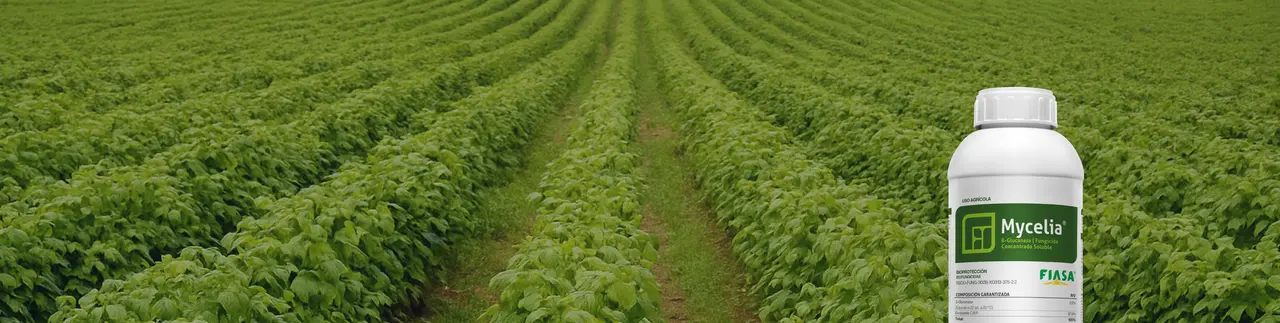 Protección microbial contra hongos dañinos