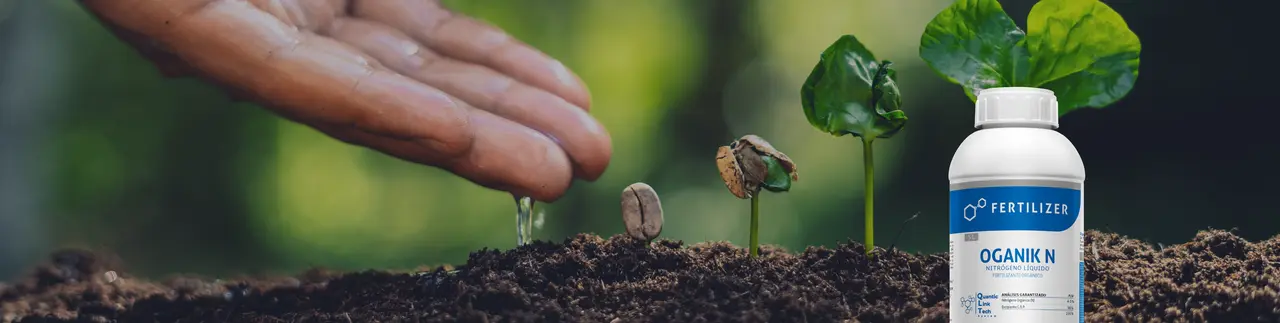 Nitrógeno orgánico, crecimiento seguro
