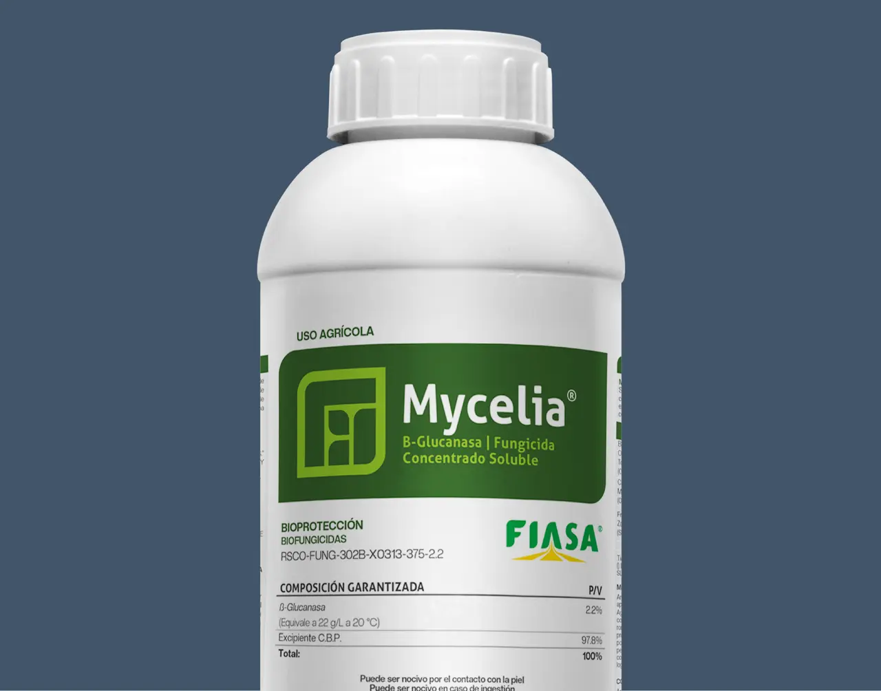 Mycelia