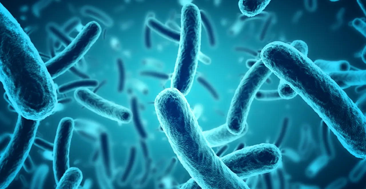 Nematicida Orgánico