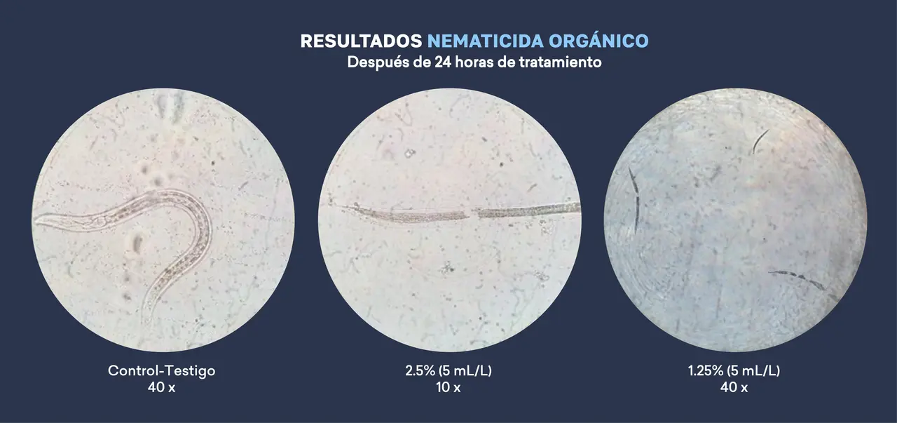 resultados_nematicida_organico.png
